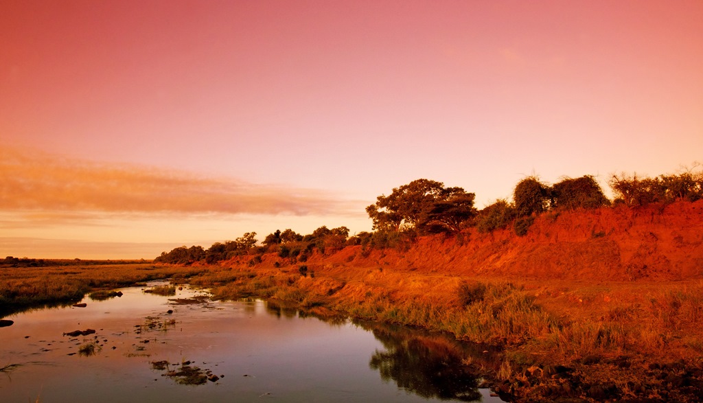 Kruger National Park Landscape