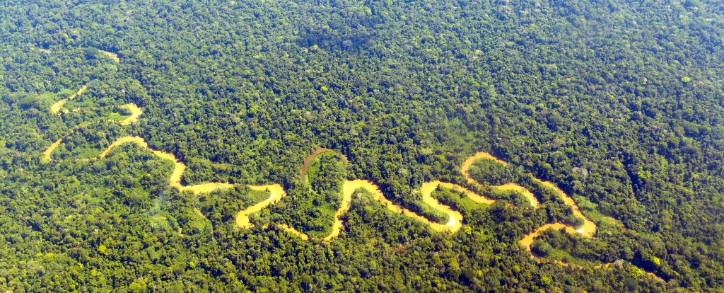 Amazon river