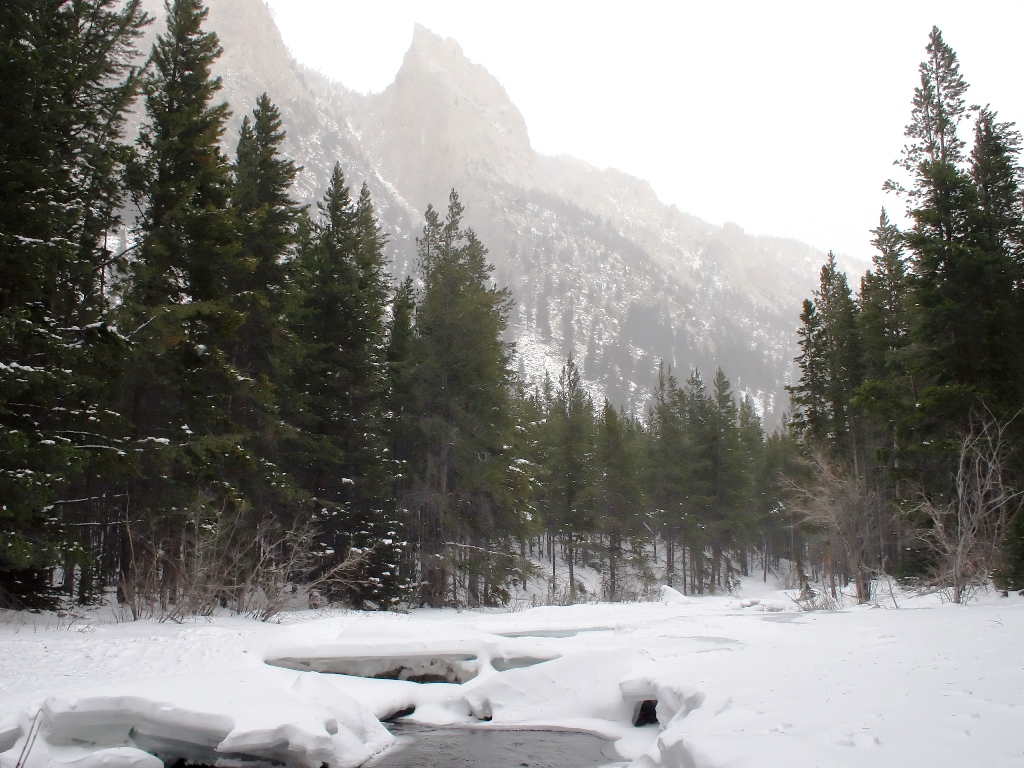 Lake Fork of the Rock Creek near Red Lodge, Montana