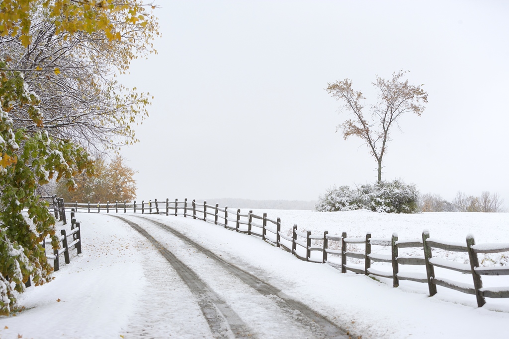 Snow covered road with autumn trees, Vermont