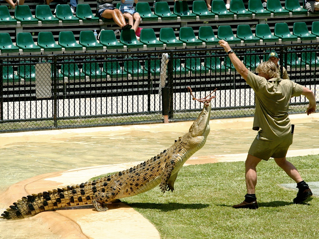 Crikey! What a beauty! Image Credits: en.wikipedia.org