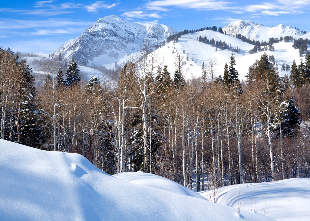 Winter morning on Mount Ogden in the Wasatch Mountains