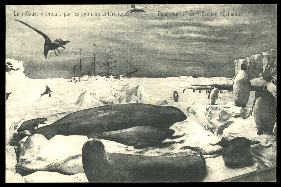 Picture postcard of the Gauss surrounded by Antarctic creatures Image Credits: grosvenorauctions.com