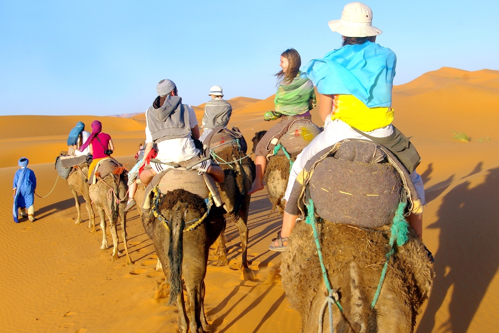 Desert Safari in the Thar Desert