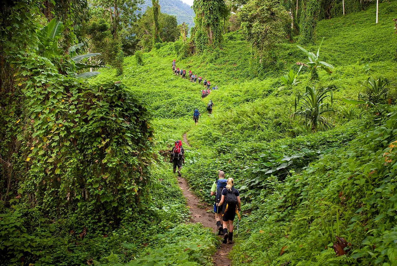 Kokoda Trek Papua New Guinea 