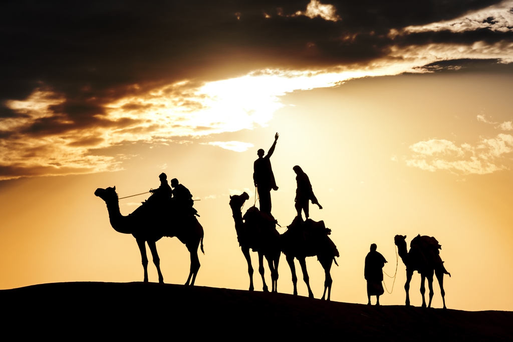 Camel Safari, Thar