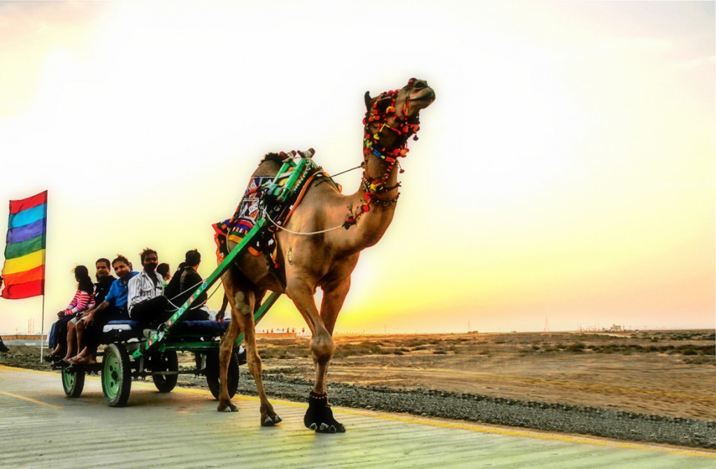 The best ride in the beautiful salt desert.