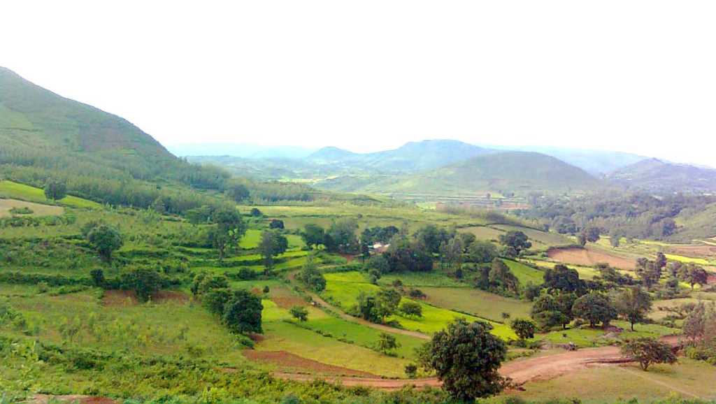 Lush green Araku Valley
