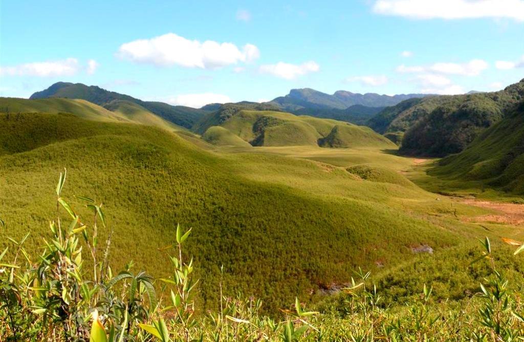 The verdant Dzukou Valley