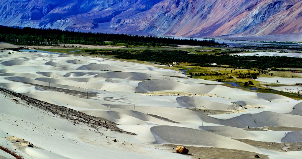 An array of colors at Nubra Valley