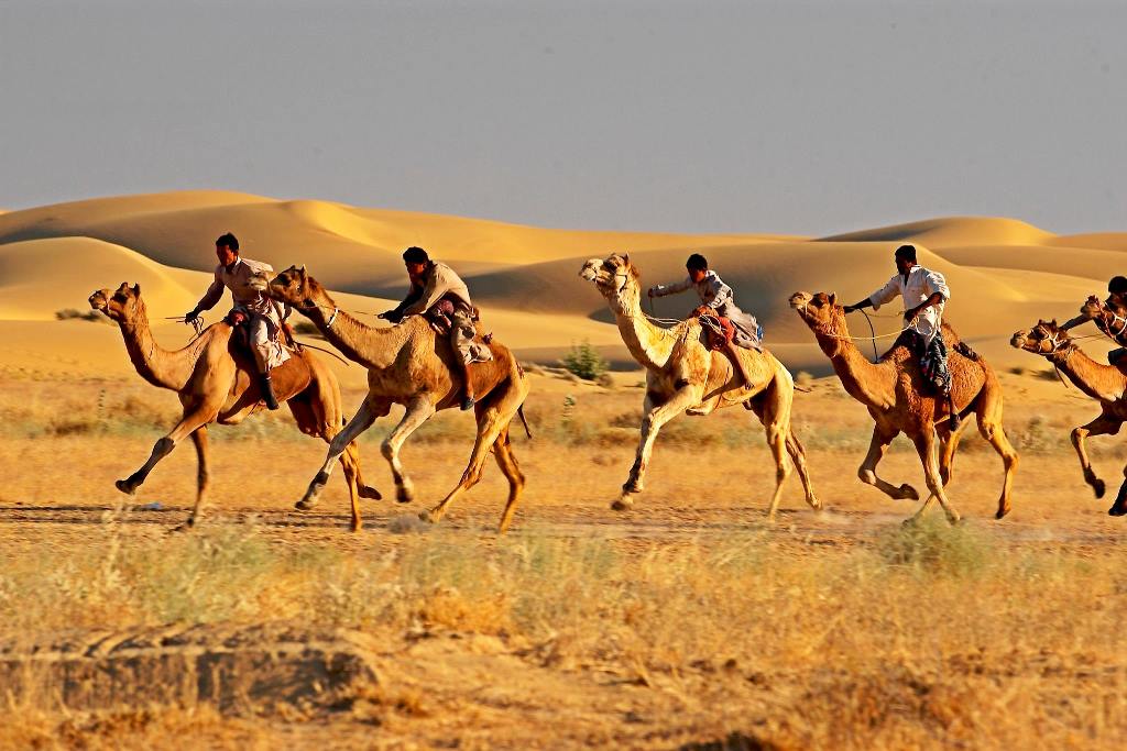 Thar Desert in Rajasthan