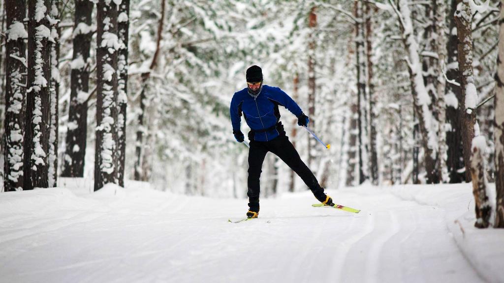 CrossCountry Skiing Oslo