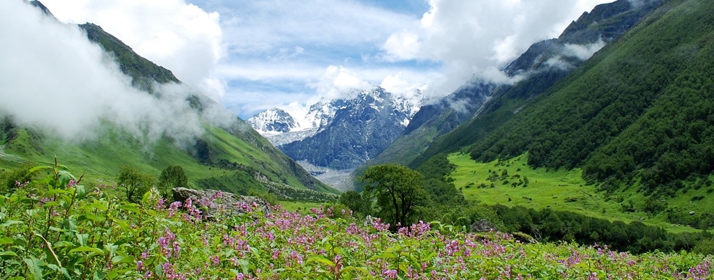 Valley of Flowers - Copy