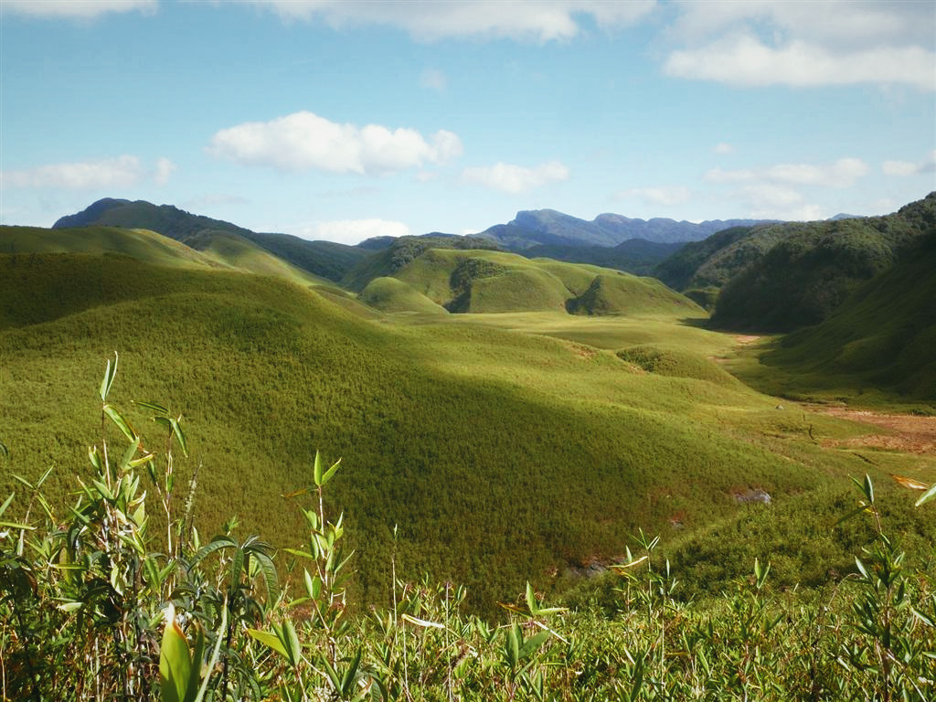 The Dzukou Valley