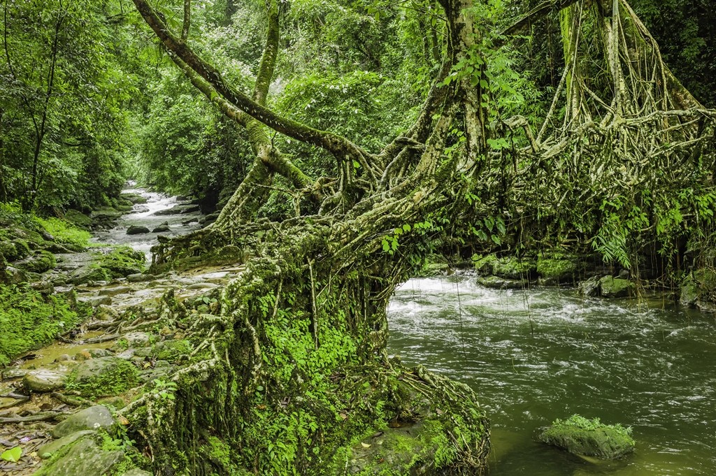 Cherrapunji