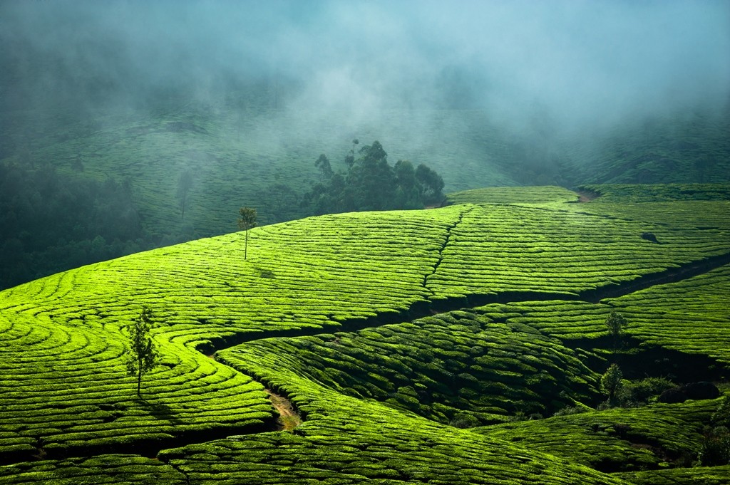 Munnar