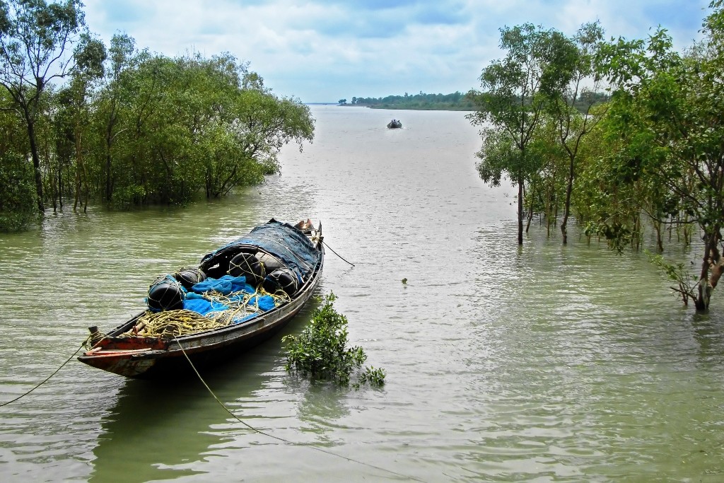 Alluring Sunderbans!