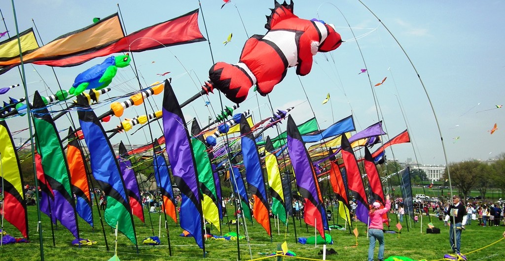 Colorful display at the Kite Festival