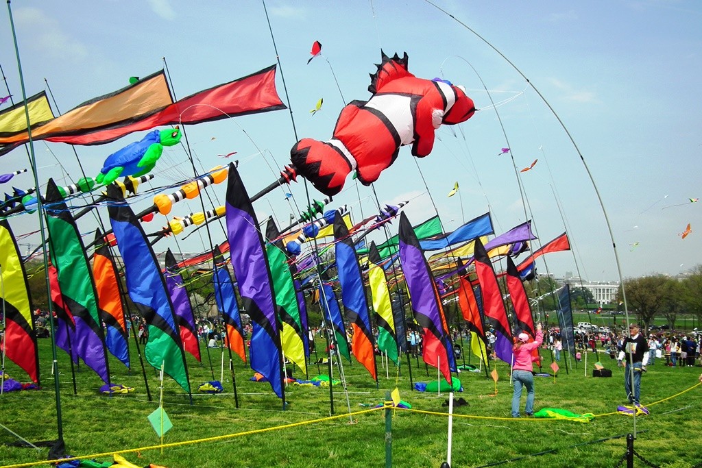 Colorful display at the Kite Festival