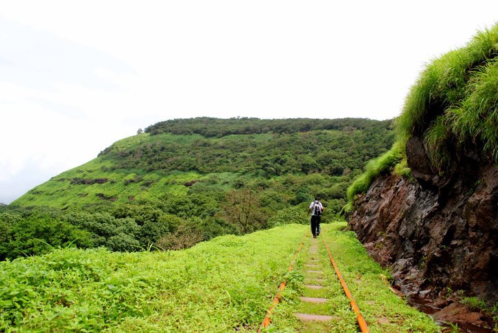 Verdure at the Peb Fort Trek near Mumbai