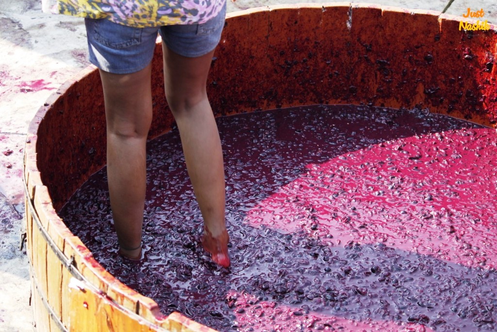 Grape stomping at the Sula Wine Festival. Image Credits: justnashik.com