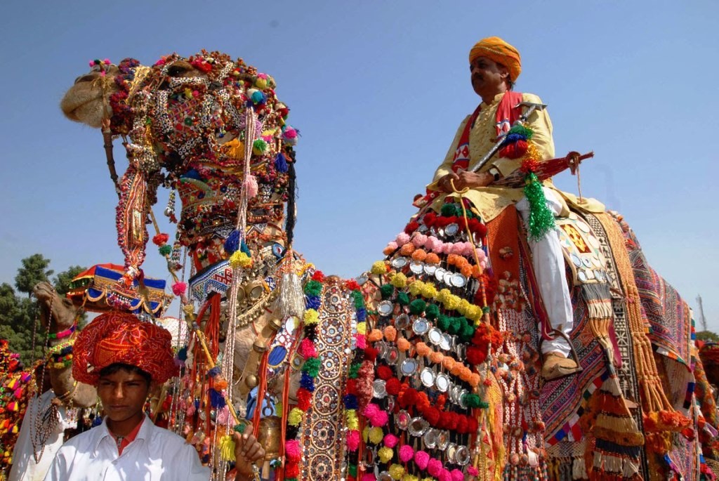 Well-decked camel at the Pushkar Fair