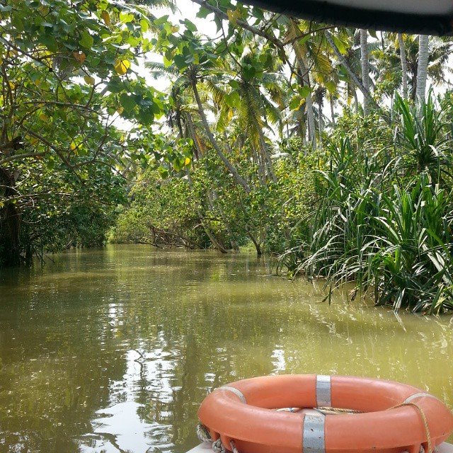 Boat ride at Poovar Island