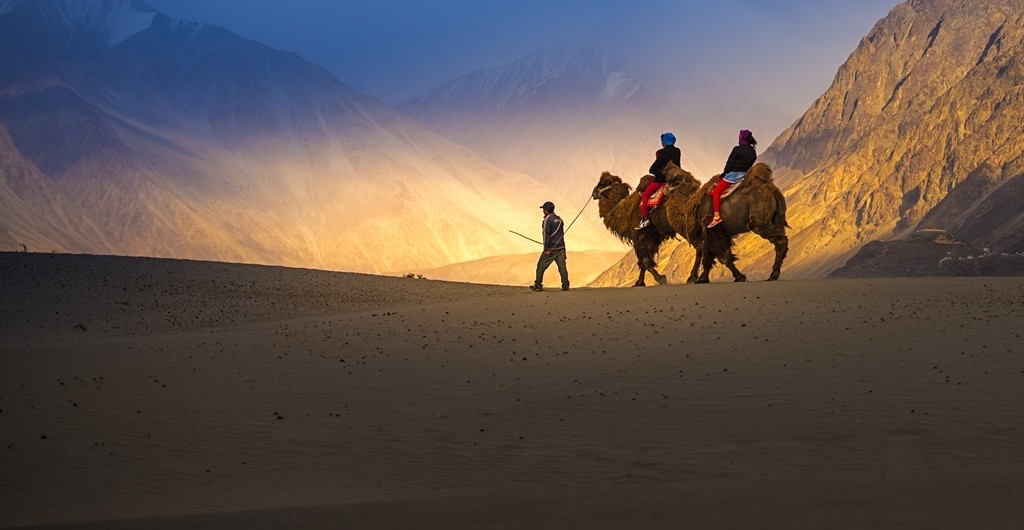 The picture perfect Sand Dunes of Ladakh!