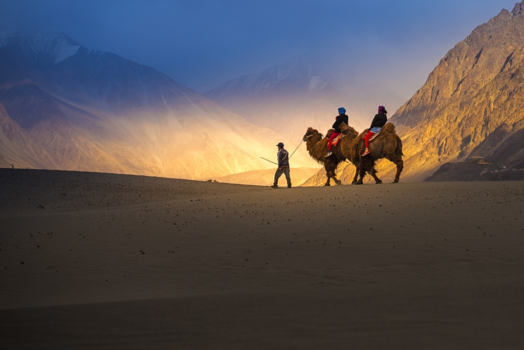 The picture perfect Sand Dunes of Ladakh!