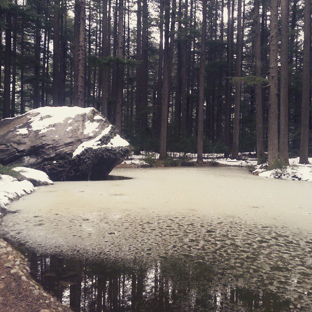 In The Middle of Nowhere I found Exquisiteness of Nature!
