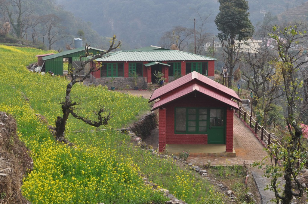 Camping in the Himalayas is a treat to the senses!