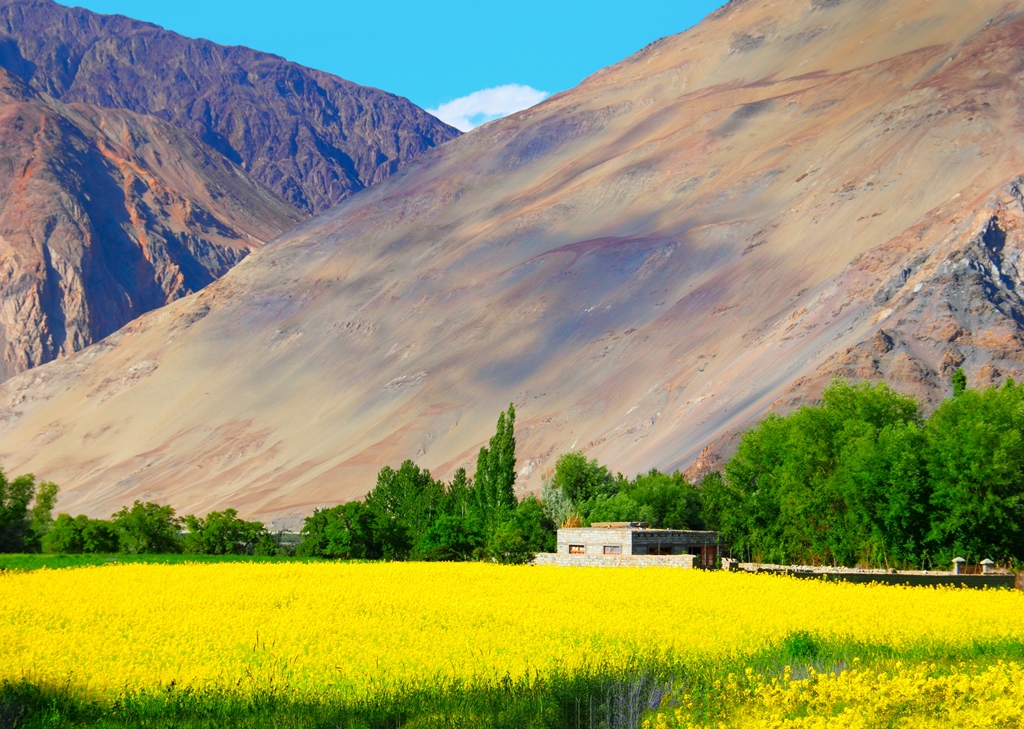 The Other Side of Zanskar Valley in Summers