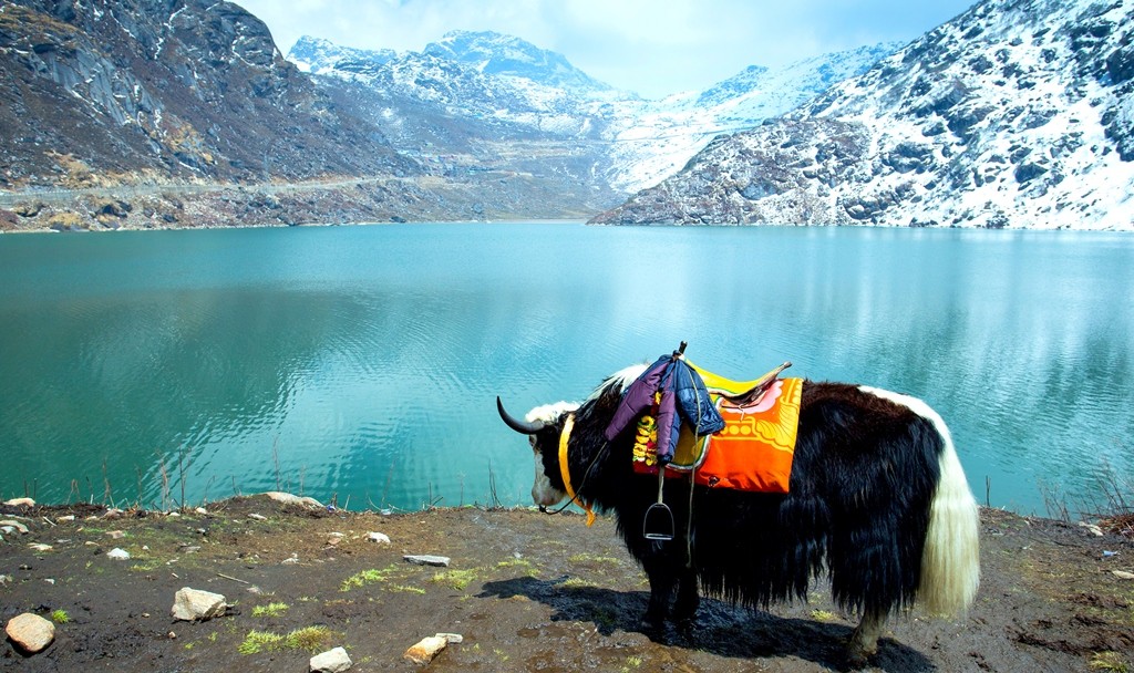 Gurudongmar Lake