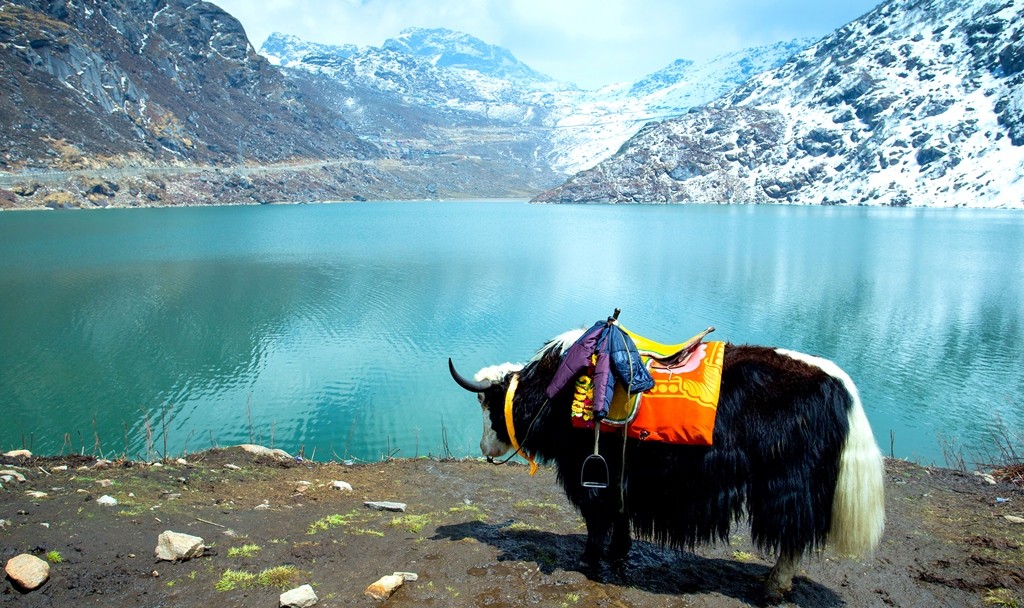 Gurudongmar Lake