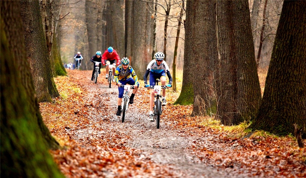 Northeast India presents some of the picturesque trails. 