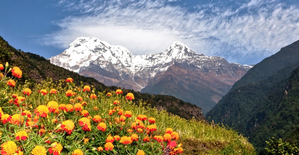 Walk though the grassland of Annapurna Base Camp