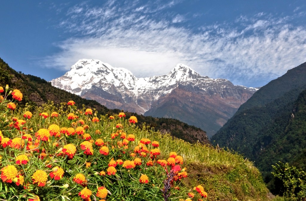 Annapurna South