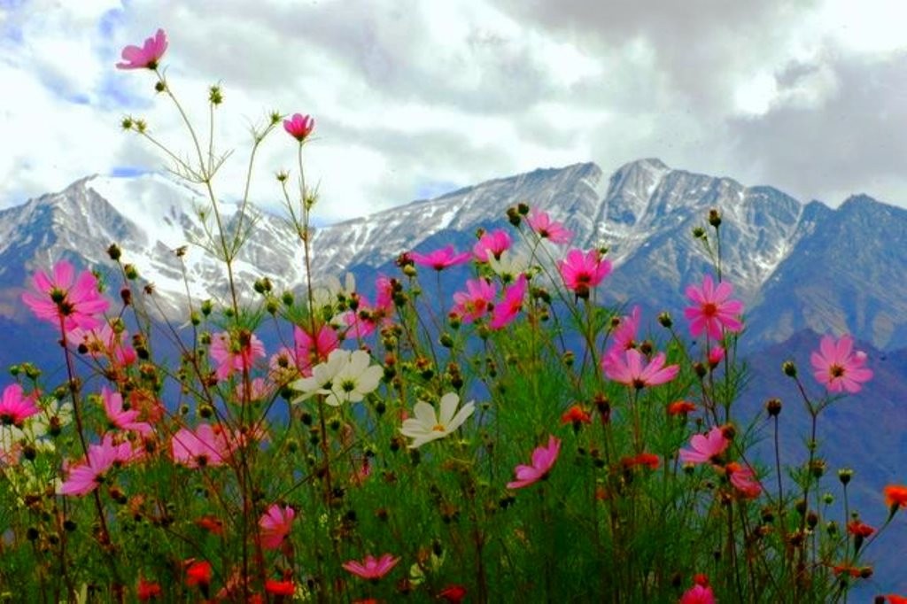 The beauty en route the Bijli Mahadev Trek