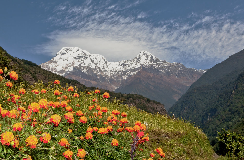 Poon Hill Trek in Nepal