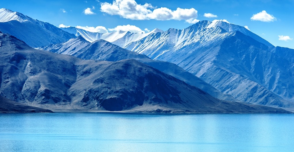 Ladakhi Marmot