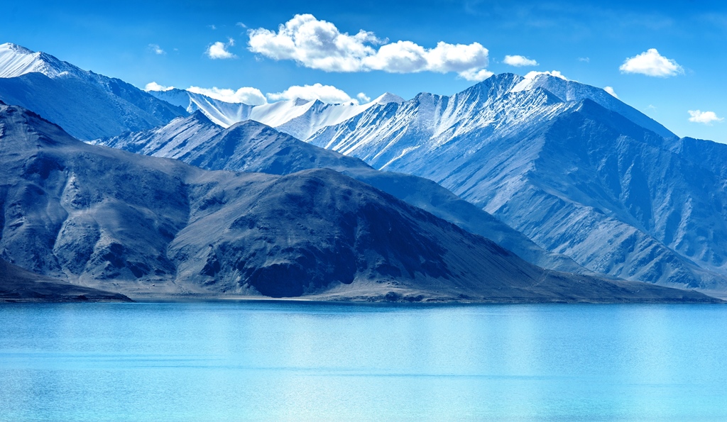 Ladakhi Marmot