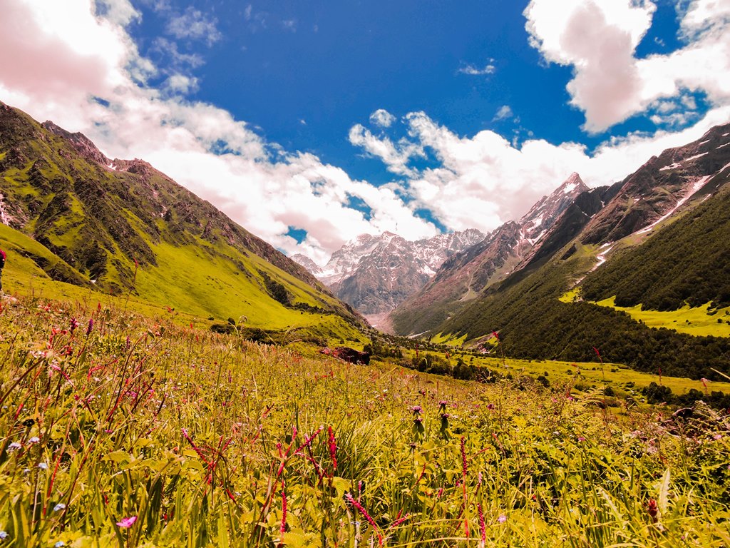 Breathtaking Valley of Flowers