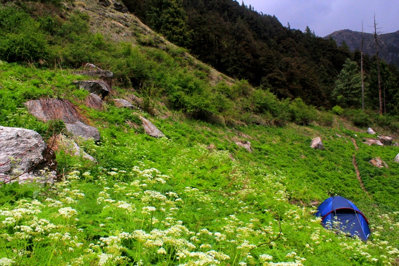 great-himalayan-national-park-trek