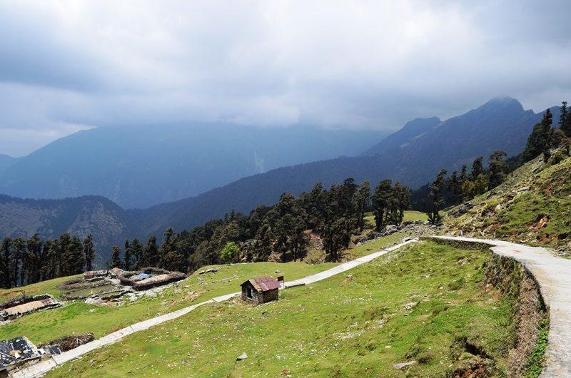 When I Almost Gave Up on the Chopta Trek! -