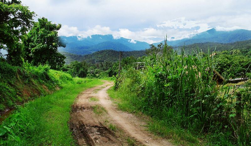 doi-suthep-pui-national-park