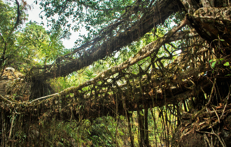 meghalaya-6