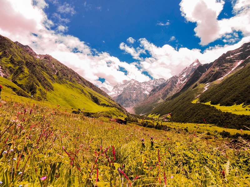 uttarakhand_valley_of_flowers_trek