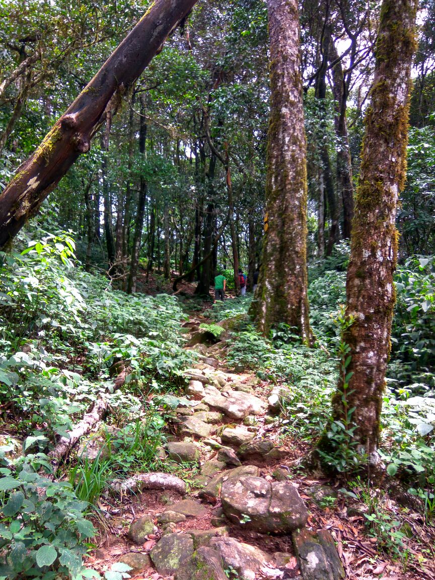 Abundance of natural beauty and oh, the thrill of exploring it!