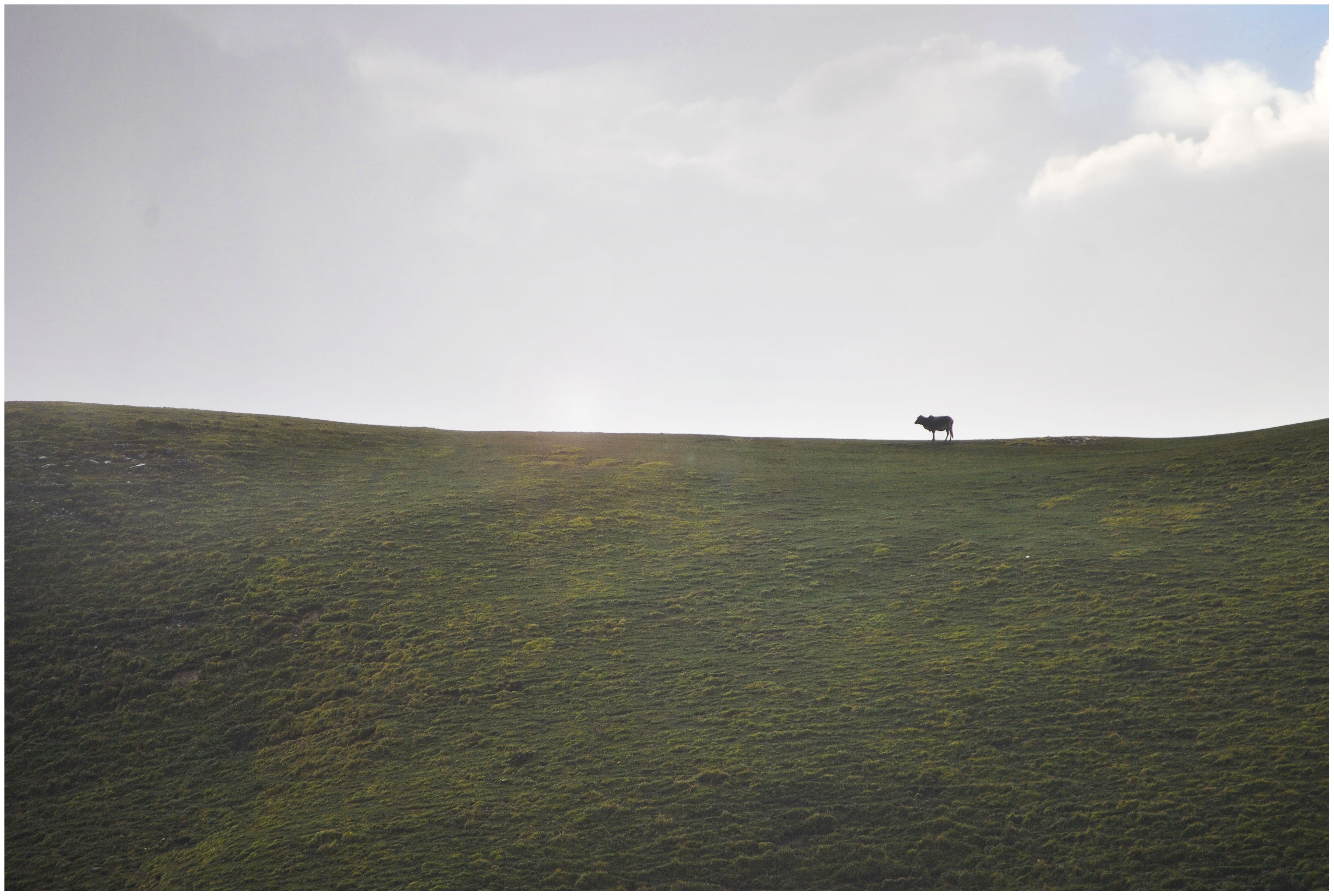 Meadows on the way to Roopkund