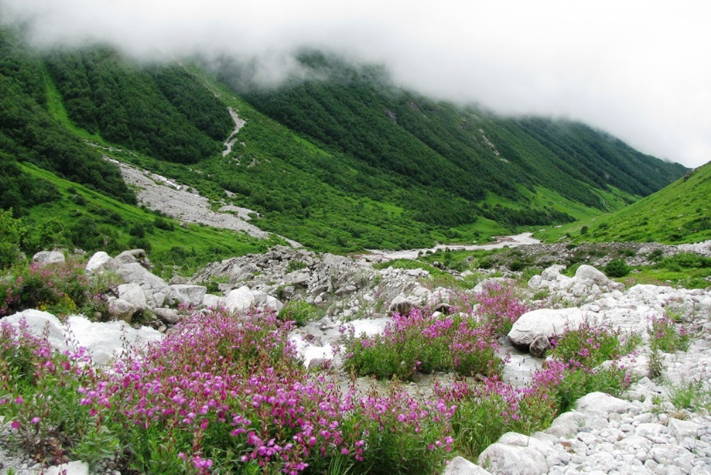 Valley of Flowers, Uttarakhand